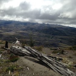 Washington State - Mount Saint Helens