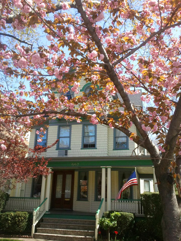Loralei B&B