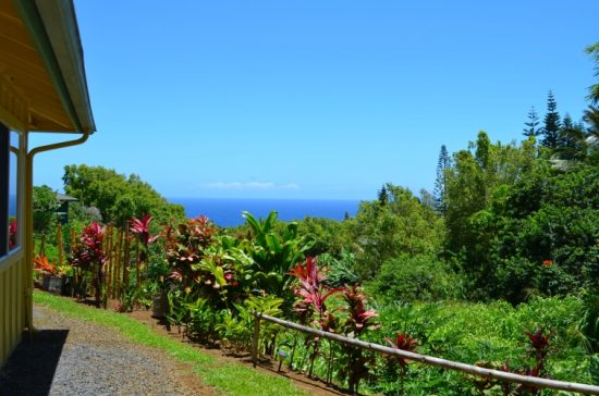 Maui Ocean Breezes