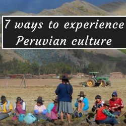 Peruvian Culture - Nomadic Boys