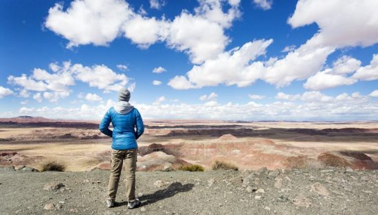 Petrified Forest National Park - Free Wheel Drive